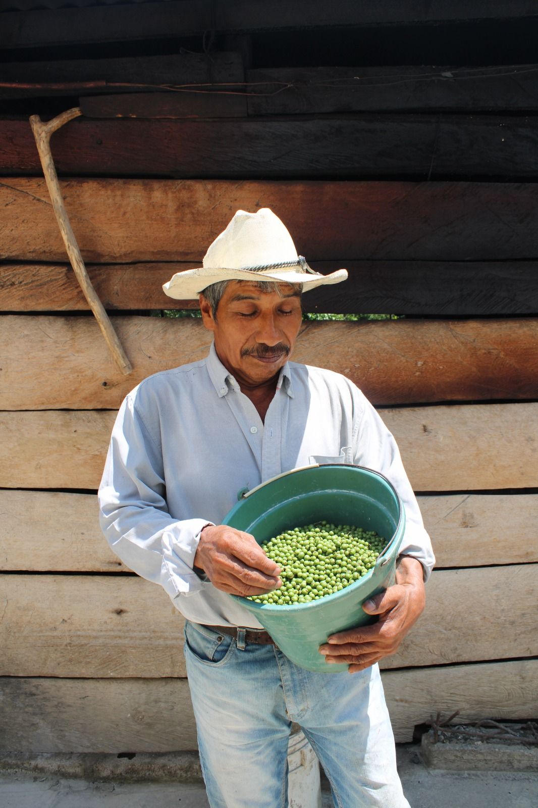 WhatsApp Image 2025 10 31 at 5.33.40 PM